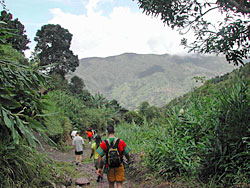 Blue-Mountain-Hike