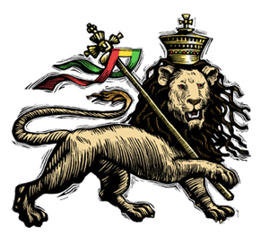 LION-lowres
