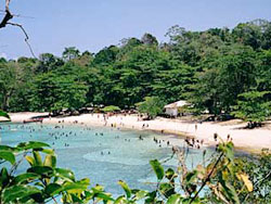 Winnifred Beach - Jamaica