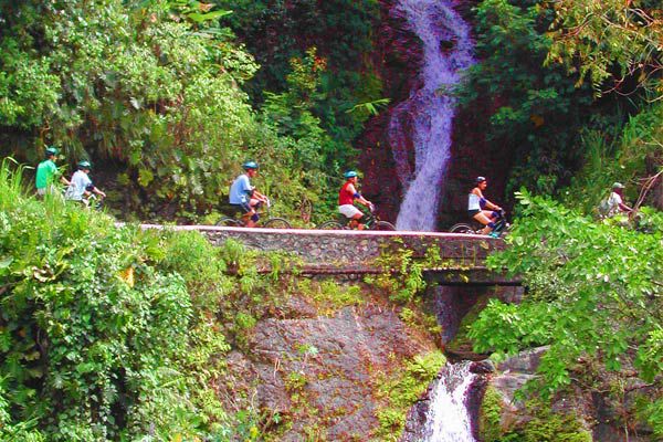 blue mountains bicycle tour